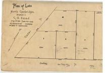 C. G. Reed 1894, North Cambridge 1890c Survey Plans